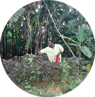 garden.png