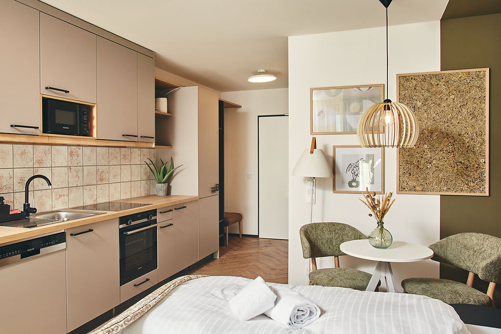 Studio Apartment -Wohnraum
