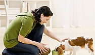Pets Biggleswade Volunteering