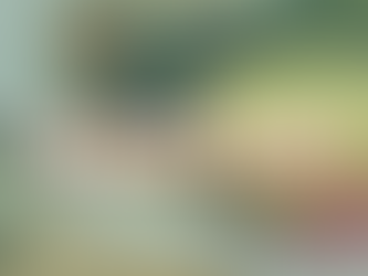 Clever Octopus Online Shop - Reduce, Reuse, Recycle