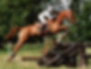 Lonnergan-Montacute.jpg