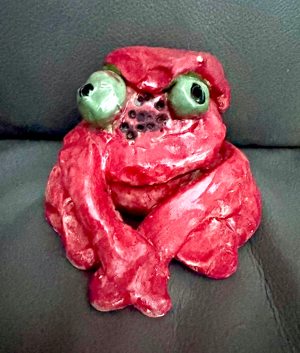 Why Not a Red Frog? Insights from Grief Support in the IDD Community