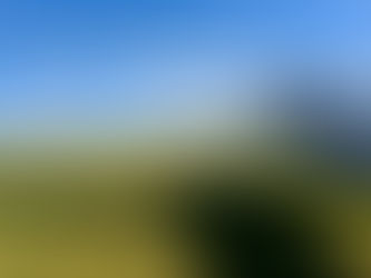 Kwetsbaarheid: ballast of brandstof?