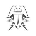 Cockroach_edited.png
