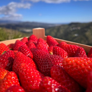 Casita Comares | bed and breakfast | Comares | La Axarquía | Málaga | Andalusia | Spain