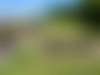 Light It Up – Public & Council Fight Back