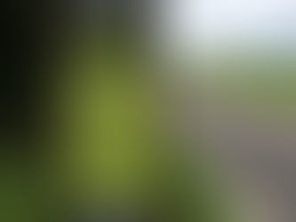 Carrigaline – Crosshaven Greenway to Receive Funding Boost