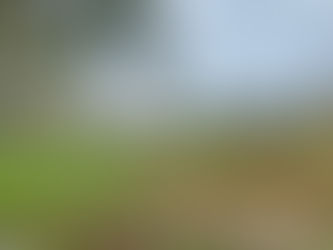 Bike Patrols Suggested to Curb Anti-Social Behaviour in Carrigaline Park