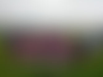 Sliabh Rua take title