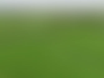 Ballinhassig AFC open new AstroTurf pitch in Gortnaglough Park