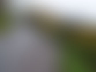 Crosshaven Needs ‘Stop and Go’ System on Myrtleville-Fountainstown Road