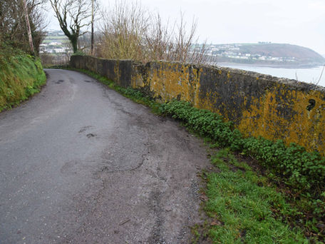 Crosshaven Needs ‘Stop and Go’ System on Myrtleville-Fountainstown Road