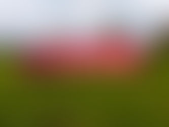 Ballygarvan set for final