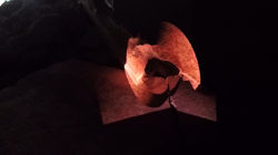 We Stare At The Stars To Feel Present 4