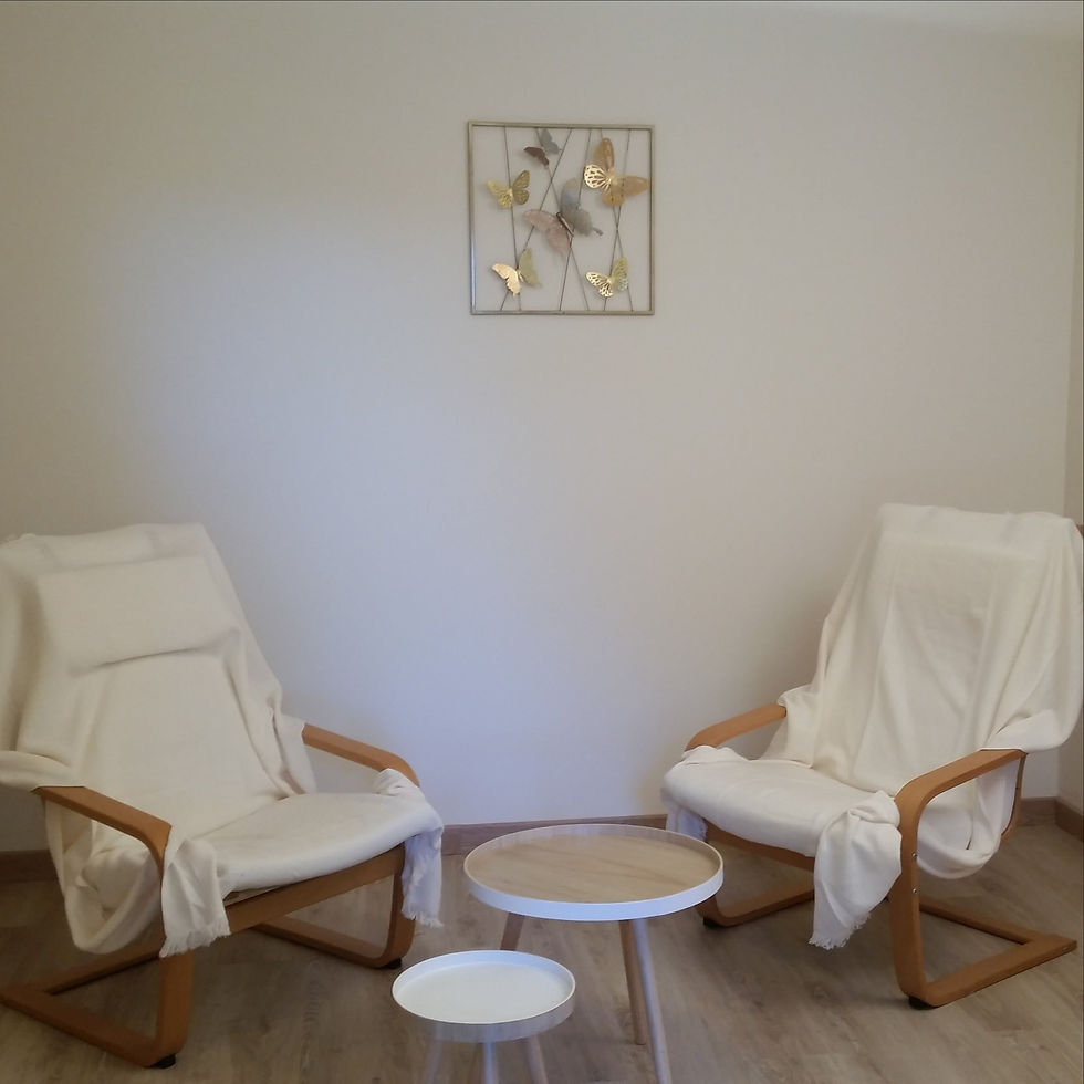 Centre Natur'Ailes