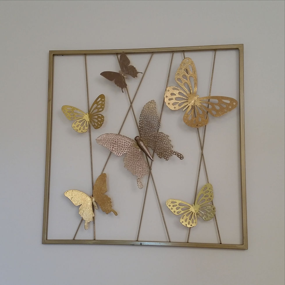 Centre Natur'Ailes