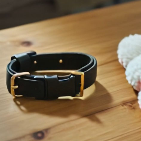 Collier d'un animal qui manque