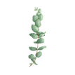sprout package