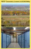 Screenshot 2023-09-15 at 12_00_20 AM.png.webp