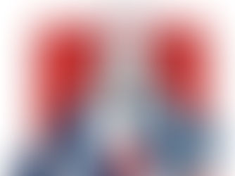 Encuentro pedagógico del Bicentenario