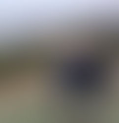 Visita fraterna del Consejo General