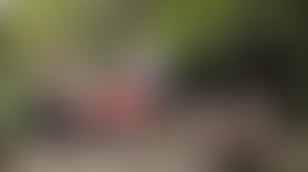 Una semana con los hermanos: Lo extraordinario de lo normal