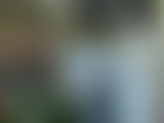 Mensaje del Papa Francisco por la pandemia