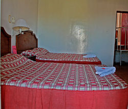 IMG_9428.jpg