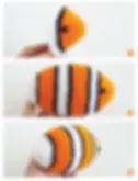 patrón gratis de amigurumi pez nemo