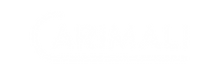 Maqueta pagina Web BMC (5).png