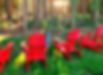 1000010365_edited_edited.jpg