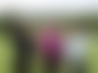 「ゴルフの翼 NEXT AGE」タケ小山プロに田島凜さん、古家翔香さんが1日入門!