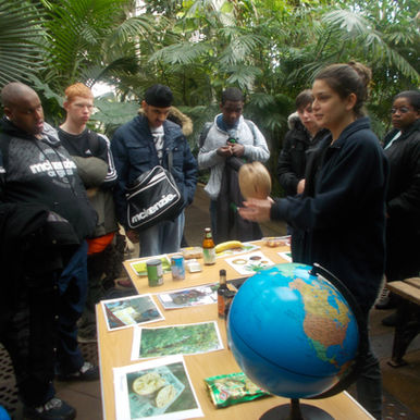 Post 16's visit Kew Gardens.