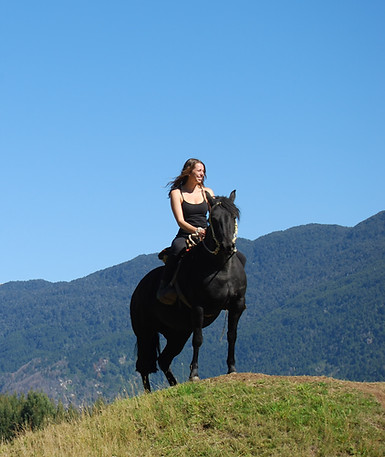 horse and rider chiropractic.JPG