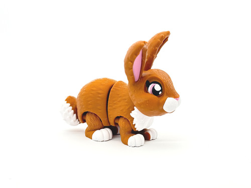 Bunny | CCD - Home Bunny | CCD - Home