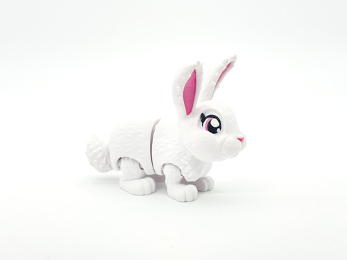 Bunny | CCD - Home