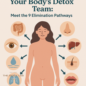Your Body’s Detox Team: Meet the 9 Elimination Pathways