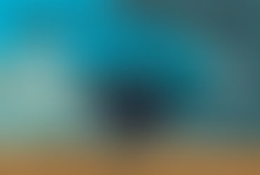 ガンガゼ