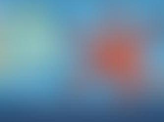 9月のカレンダー ルソンヒトデ