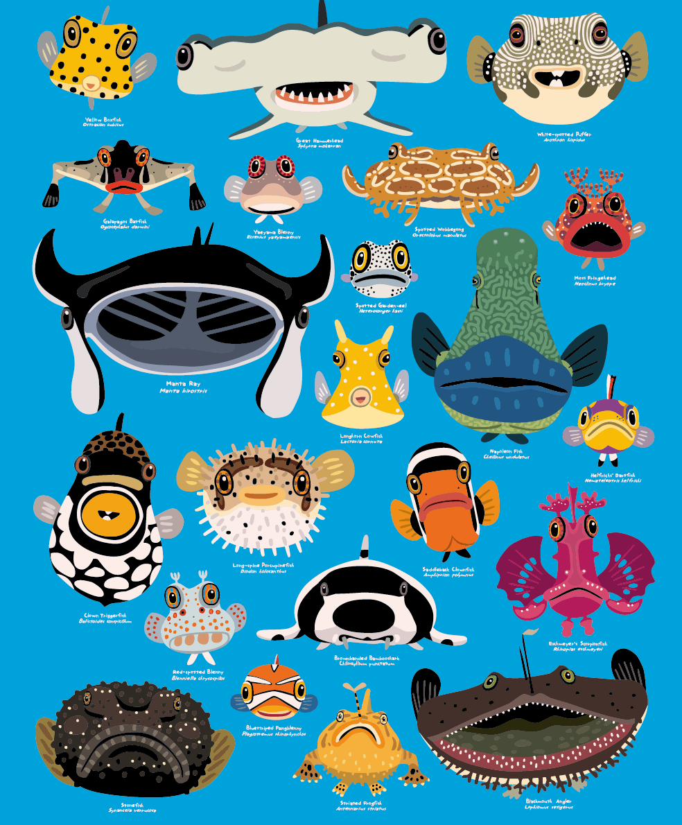 PADIポスター2008