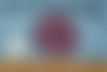 フタツアナスカシカシパン