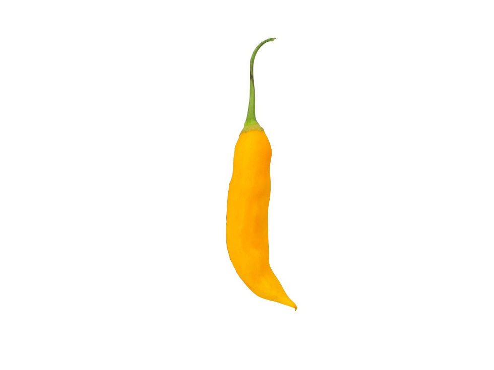 Chiles y Ajís