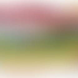 Annual Red Cedar Classic Car Show, Craft & Swap Meet - May 17th