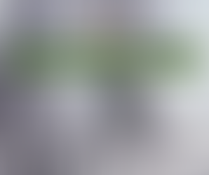 City of Menomonie begins tree removal