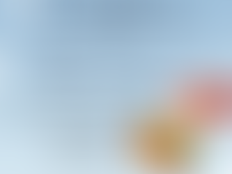 Dunn County Play Group December schedule