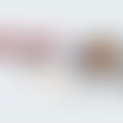 Dunn County Snowmobile trail update