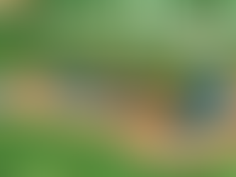 New playground equipment coming to Phelan Park