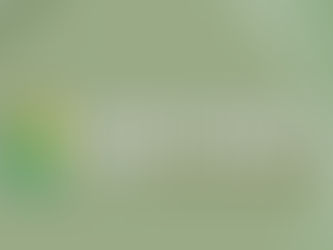 Dunn, Pepin Counties work with Xcel Energy to purchase part of Chippewa River State Trail