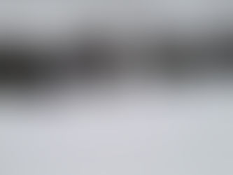 St. Valentines Day Hustle Alley Cat Bike Race - February 14th