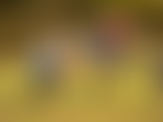 Youth Rec Soccer Registration Open